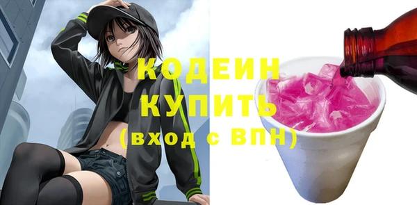 гидра Арсеньев