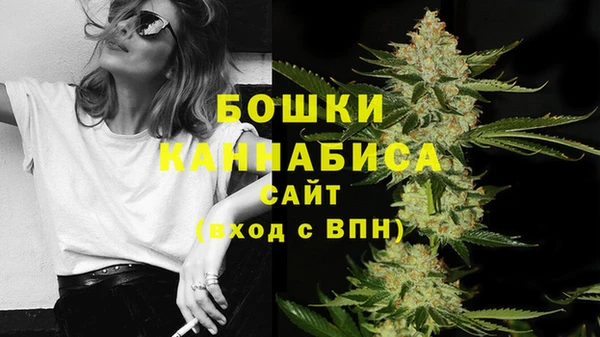 гидра Арсеньев