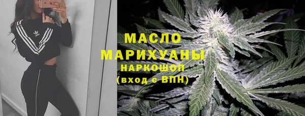 гидра Арсеньев