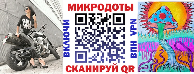 Галлюциногенные грибы Psilocybe  Нурлат 