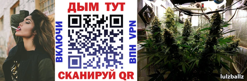закладка  Нурлат  Каннабис гибрид 